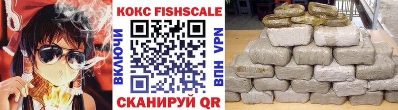 где можно купить   Ельня  Cocaine FishScale 