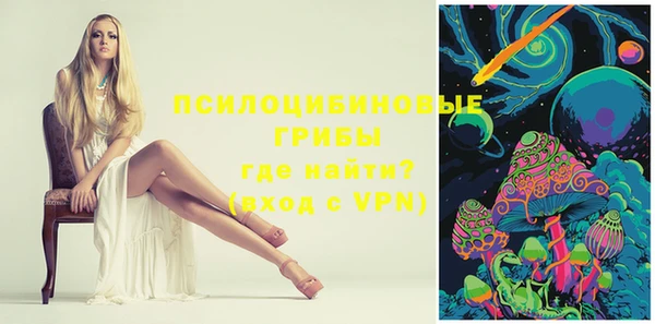 шишки Михайловка