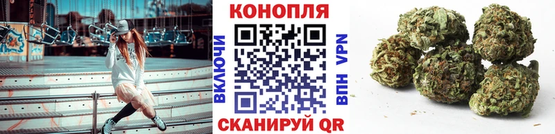 сколько стоит  Ельня  Конопля семена 